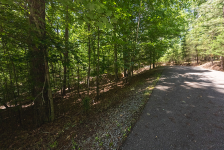Offering #2 - Lakefront Lot for Sale in Campbell County VA - image 15