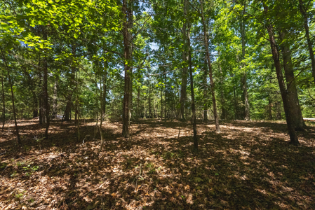 Offering #2 - Lakefront Lot for Sale in Campbell County VA - image 5