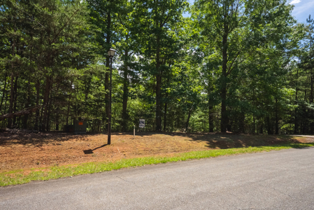 Offering #2 - Lakefront Lot for Sale in Campbell County VA - image 2