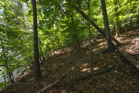 Offering #2 - Lakefront Lot for Sale in Campbell County VA - image 9