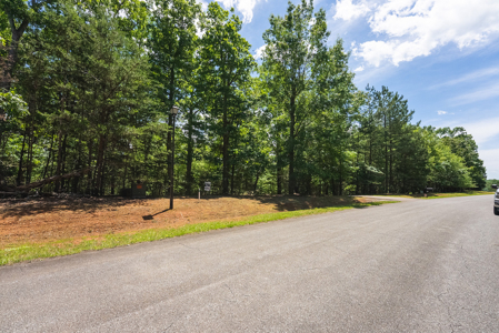 Offering #2 - Lakefront Lot for Sale in Campbell County VA - image 25