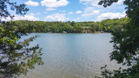 Offering #2 - Lakefront Lot for Sale in Campbell County VA - image 24