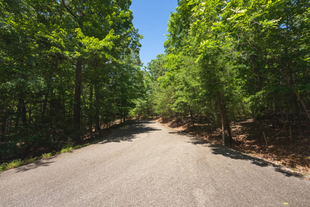 Offering #2 - Lakefront Lot for Sale in Campbell County VA - image 14