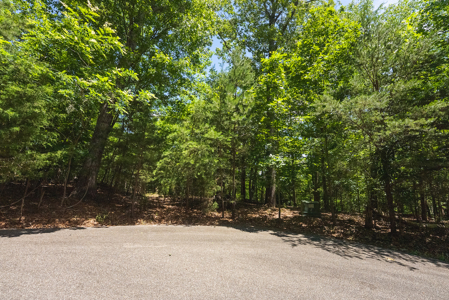 Offering #2 - Lakefront Lot for Sale in Campbell County VA - image 7