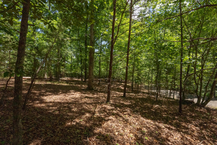 Offering #2 - Lakefront Lot for Sale in Campbell County VA - image 4