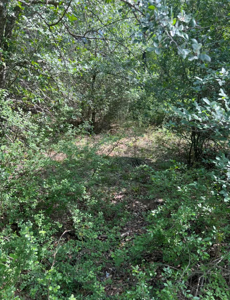 Lot Near Lake Brownwood For Sale - image 3