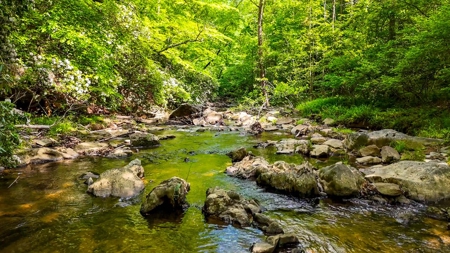 Secluded Log Cabin Paradise with 18 Acres of Natural Wonder - image 40