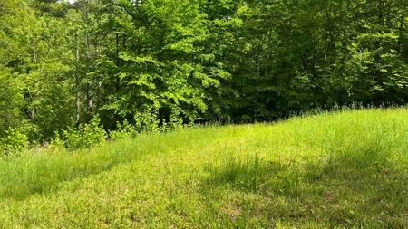 Secluded Log Cabin Paradise with 18 Acres of Natural Wonder - image 29