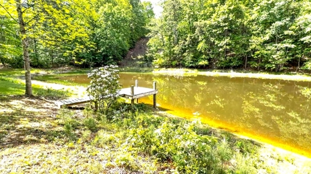 Secluded Log Cabin Paradise with 18 Acres of Natural Wonder - image 25