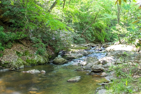 Secluded Log Cabin Paradise with 18 Acres of Natural Wonder - image 47