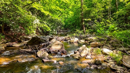 Secluded Log Cabin Paradise with 18 Acres of Natural Wonder - image 42