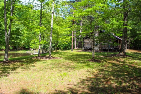 Secluded Log Cabin Paradise with 18 Acres of Natural Wonder - image 19