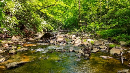 Secluded Log Cabin Paradise with 18 Acres of Natural Wonder - image 41