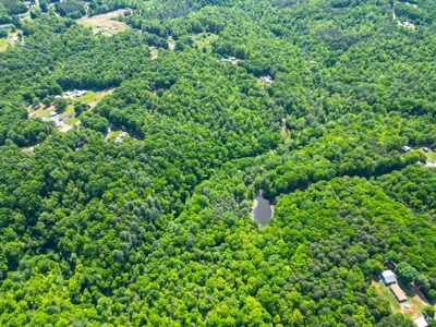 Secluded Log Cabin Paradise with 18 Acres of Natural Wonder - image 28