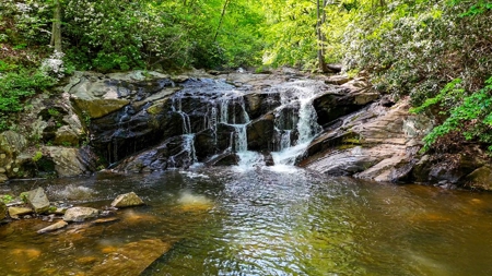 Secluded Log Cabin Paradise with 18 Acres of Natural Wonder - image 4