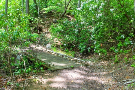 Secluded Log Cabin Paradise with 18 Acres of Natural Wonder - image 36