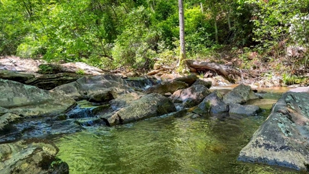 Secluded Log Cabin Paradise with 18 Acres of Natural Wonder - image 7