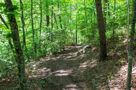Secluded Log Cabin Paradise with 18 Acres of Natural Wonder - image 35