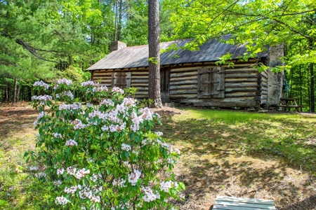 Secluded Log Cabin Paradise with 18 Acres of Natural Wonder - image 10