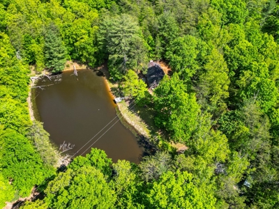 Secluded Log Cabin Paradise with 18 Acres of Natural Wonder - image 27
