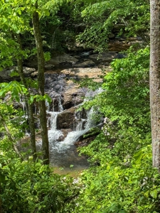 Secluded Log Cabin Paradise with 18 Acres of Natural Wonder - image 43
