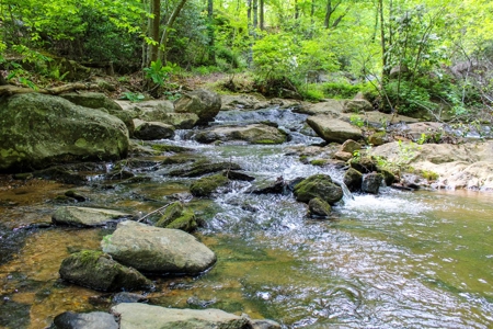 Secluded Log Cabin Paradise with 18 Acres of Natural Wonder - image 46