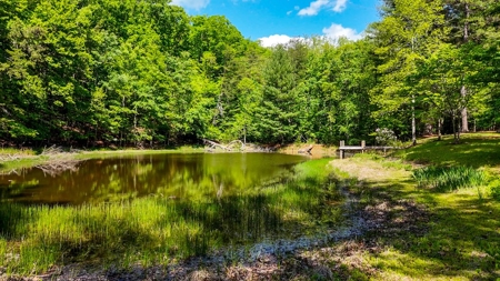 Secluded Log Cabin Paradise with 18 Acres of Natural Wonder - image 24