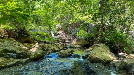 Secluded Log Cabin Paradise with 18 Acres of Natural Wonder - image 38