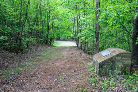 Secluded Log Cabin Paradise with 18 Acres of Natural Wonder - image 22