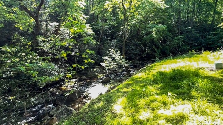 Secluded Log Cabin Paradise with 18 Acres of Natural Wonder - image 39