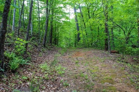 Secluded Log Cabin Paradise with 18 Acres of Natural Wonder - image 33