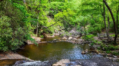 Secluded Log Cabin Paradise with 18 Acres of Natural Wonder - image 9
