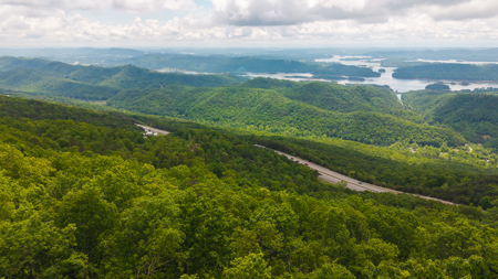 Above the Clouds:  Unrestricted Acres  Clinch Mountain with Views - image 13