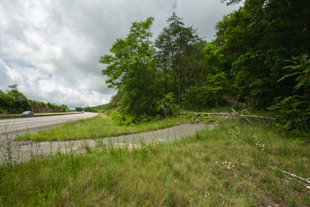 Above the Clouds:  Unrestricted Acres  Clinch Mountain with Views - image 21