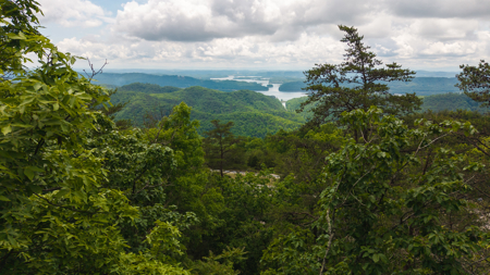 Above the Clouds:  Unrestricted Acres  Clinch Mountain with Views - image 11