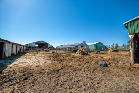 Cattle Farm w/ Solar Potential for Sale in International Falls MN - image 39