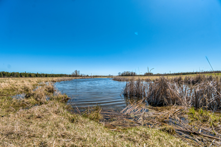 Cattle Farm w/ Solar Potential for Sale in International Falls MN - image 10