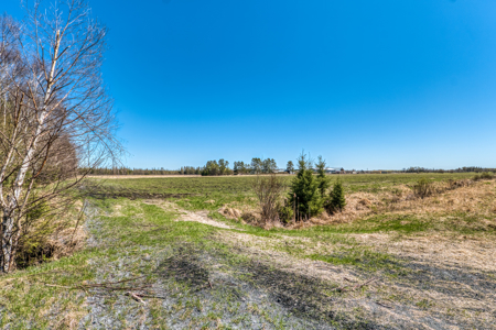 Cattle Farm w/ Solar Potential for Sale in International Falls MN - image 2