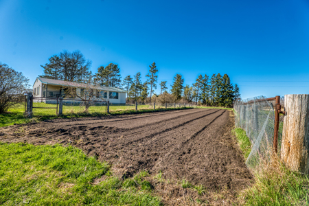 Cattle Farm w/ Solar Potential for Sale in International Falls MN - image 47