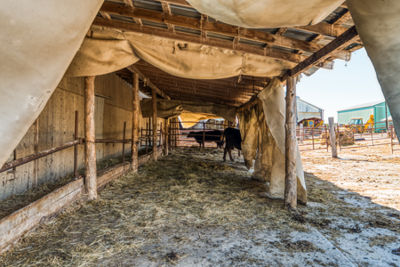 Cattle Farm w/ Solar Potential for Sale in International Falls MN - image 41
