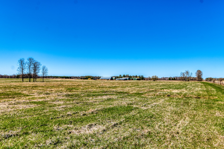 Cattle Farm w/ Solar Potential for Sale in International Falls MN - image 8