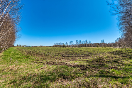 Cattle Farm w/ Solar Potential for Sale in International Falls MN - image 5