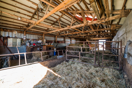 Cattle Farm w/ Solar Potential for Sale in International Falls MN - image 33