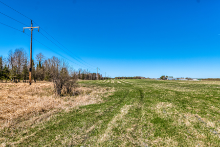 Cattle Farm w/ Solar Potential for Sale in International Falls MN - image 7