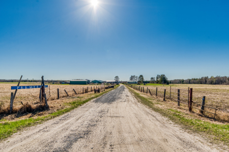 Cattle Farm w/ Solar Potential for Sale in International Falls MN - image 50
