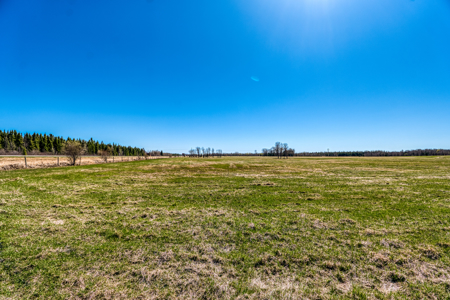 Cattle Farm w/ Solar Potential for Sale in International Falls MN - image 9
