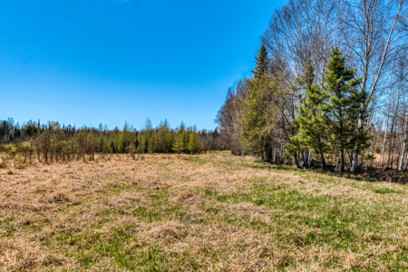 Cattle Farm w/ Solar Potential for Sale in International Falls MN - image 6
