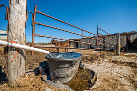 Cattle Farm w/ Solar Potential for Sale in International Falls MN - image 37