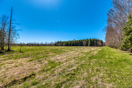 Cattle Farm w/ Solar Potential for Sale in International Falls MN - image 3