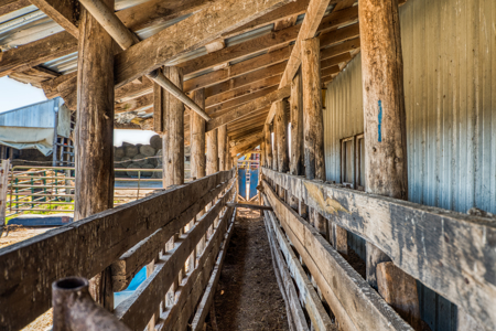 Cattle Farm w/ Solar Potential for Sale in International Falls MN - image 36